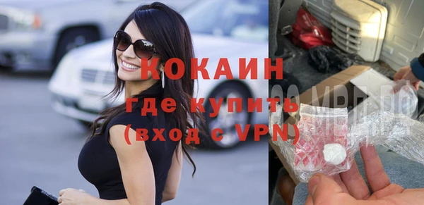 прущие грибы Горнозаводск