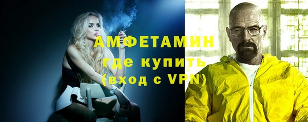 прущие грибы Горнозаводск