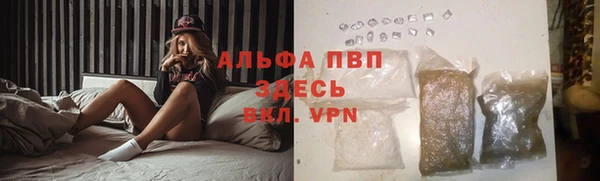шишки Гусь-Хрустальный