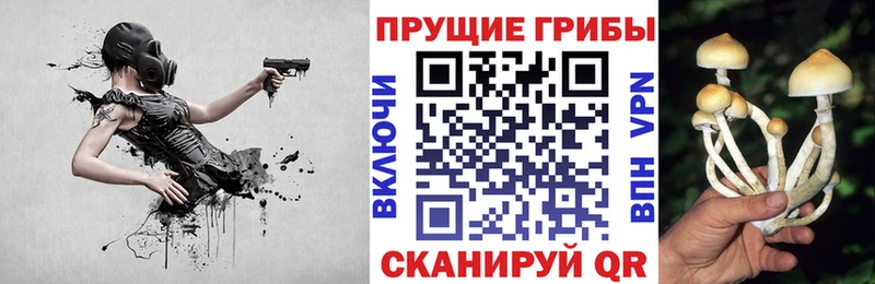 сколько стоит  blacksprut зеркало  Галлюциногенные грибы прущие грибы  Томилино 