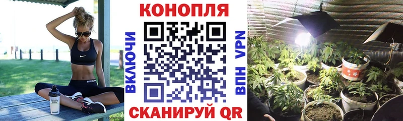 Каннабис индика  Томилино 